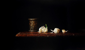 Waar leven is, is hoop - 37,8 x 64,5 cm - 2011